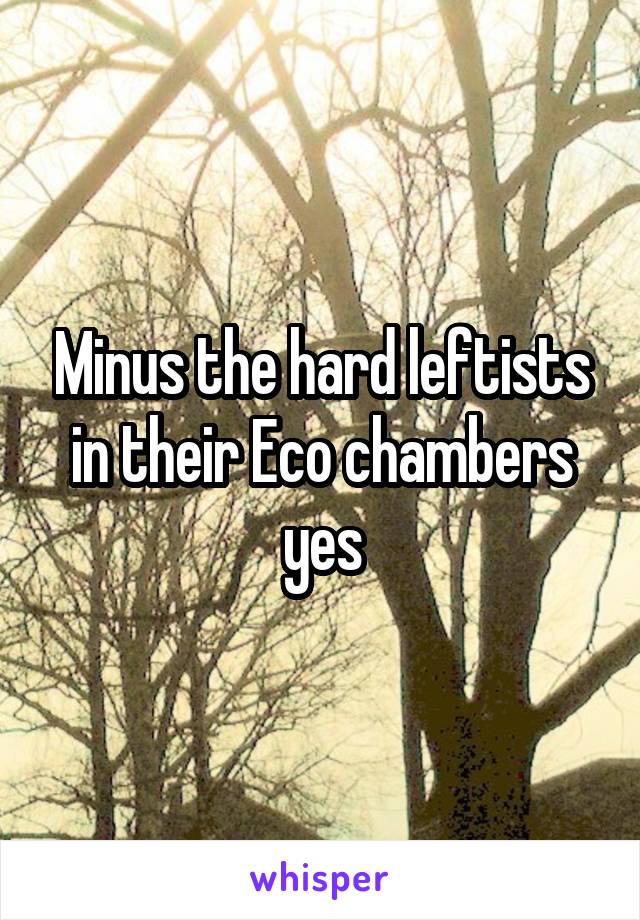 Minus the hard leftists in their Eco chambers yes