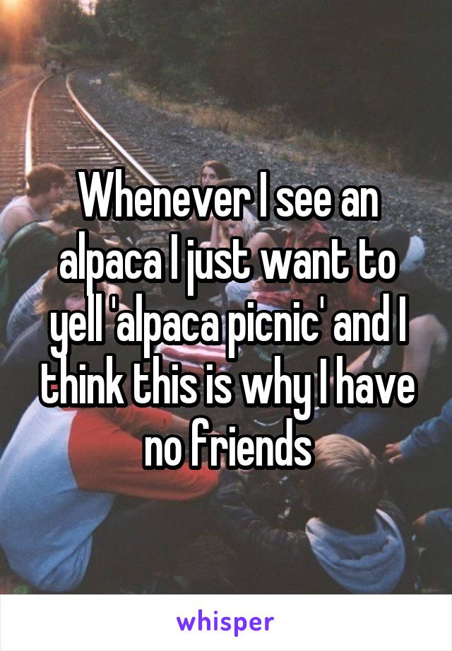 Whenever I see an alpaca I just want to yell 'alpaca picnic' and I think this is why I have no friends