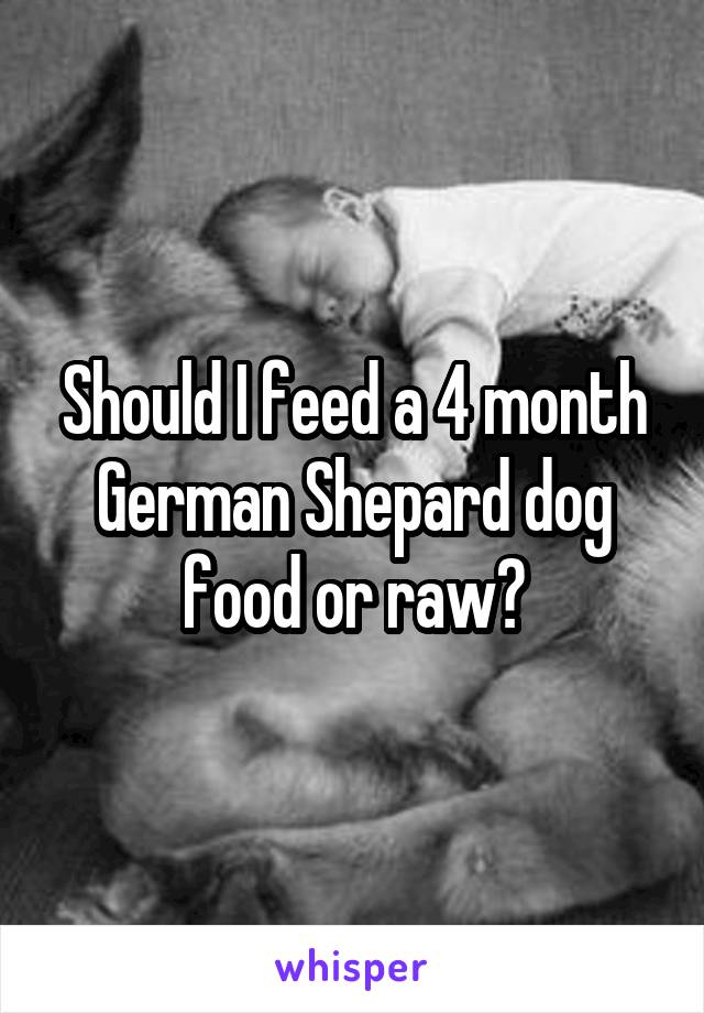 Should I feed a 4 month German Shepard dog food or raw?