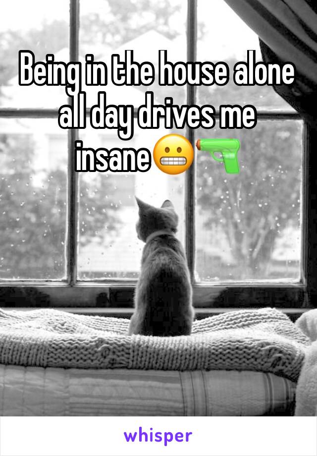 Being in the house alone all day drives me insane😬🔫