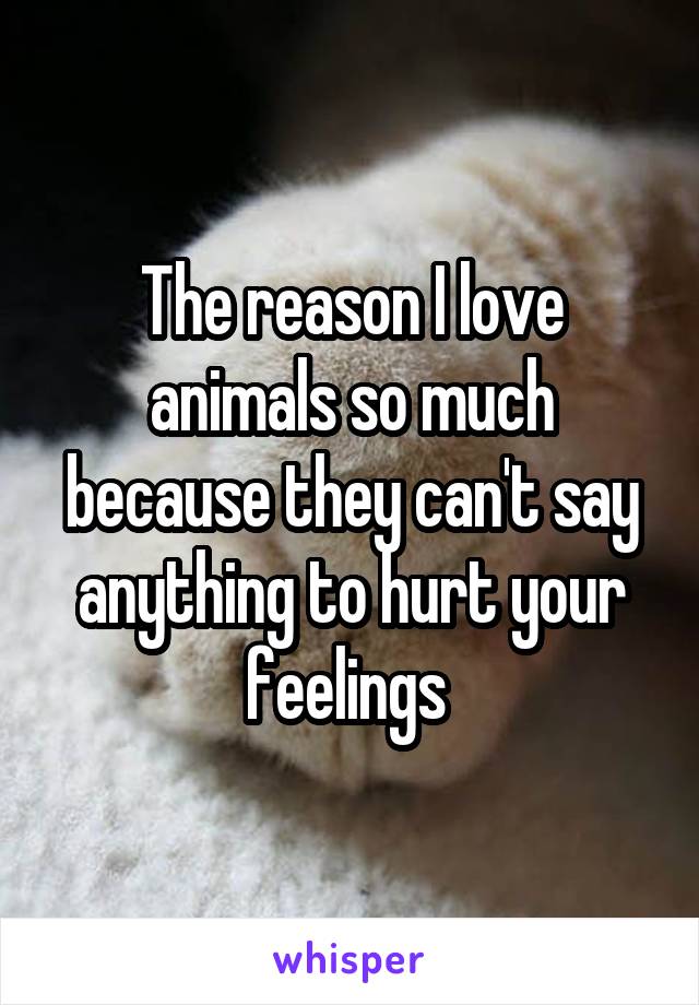 The reason I love animals so much because they can't say anything to hurt your feelings 