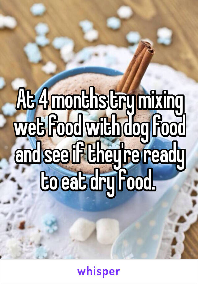 At 4 months try mixing wet food with dog food and see if they're ready to eat dry food. 