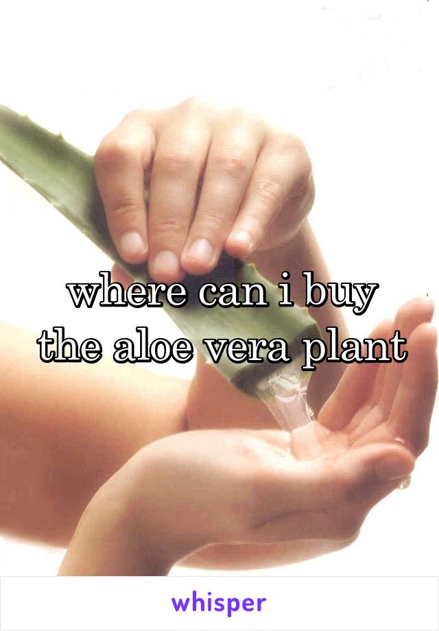 where can i buy the aloe vera plant