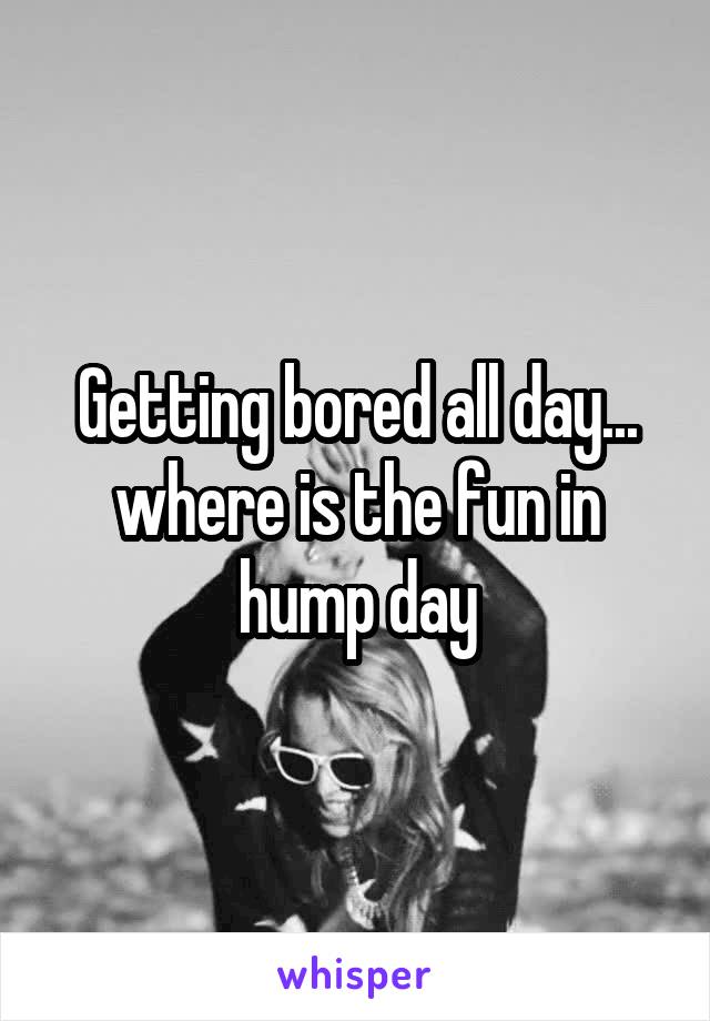 Getting bored all day... where is the fun in hump day