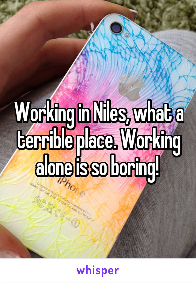 Working in Niles, what a terrible place. Working alone is so boring! 