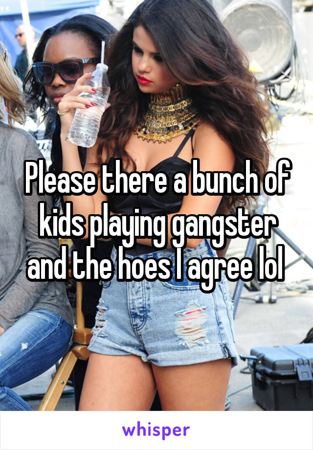 Please there a bunch of kids playing gangster and the hoes I agree lol 
