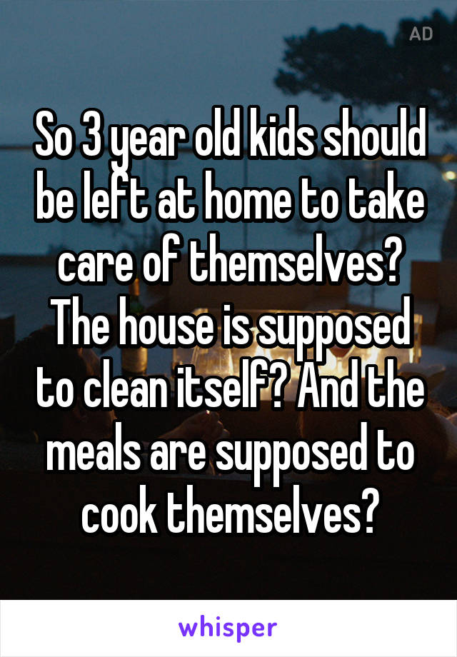 So 3 year old kids should be left at home to take care of themselves? The house is supposed to clean itself? And the meals are supposed to cook themselves?