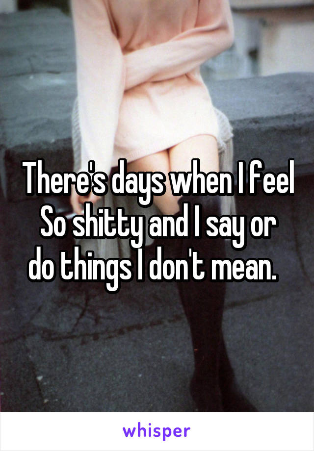 There's days when I feel
So shitty and I say or do things I don't mean.  