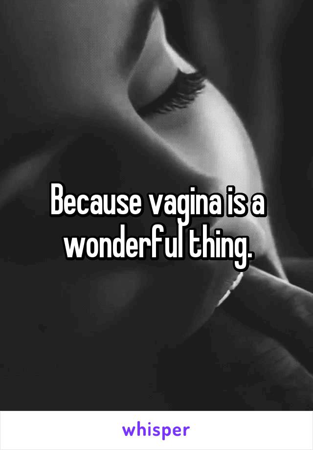 Because vagina is a wonderful thing.