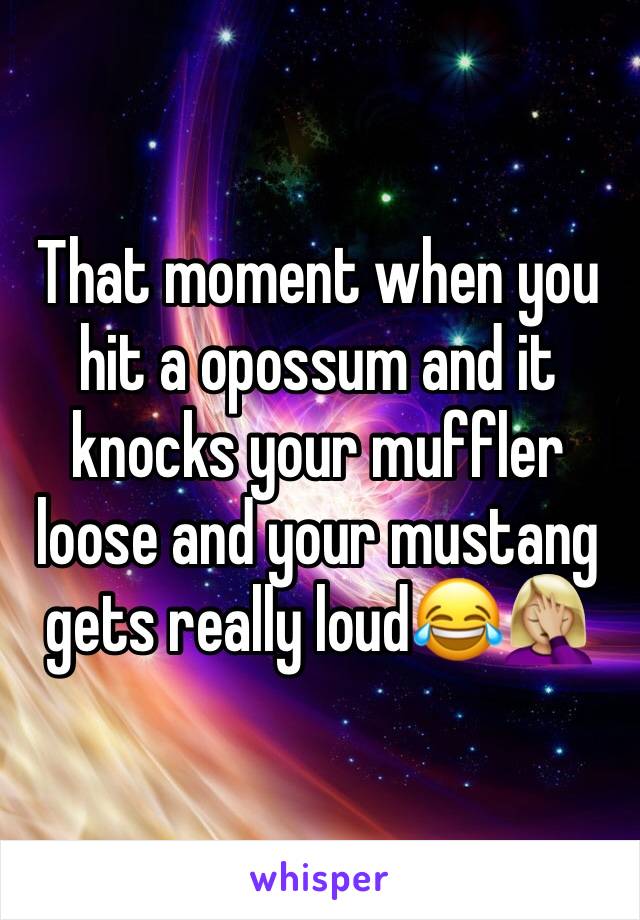 That moment when you hit a opossum and it knocks your muffler loose and your mustang gets really loud😂🤦🏼‍♀️