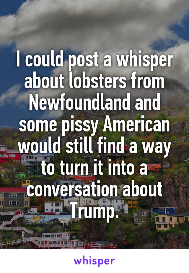 I could post a whisper about lobsters from Newfoundland and some pissy American would still find a way to turn it into a conversation about Trump.