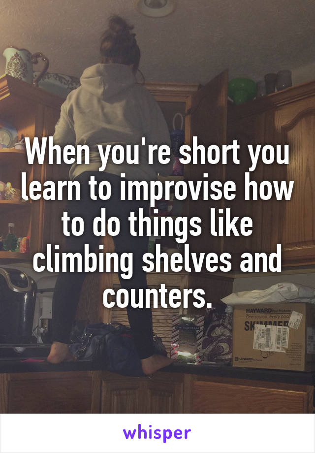 When you're short you learn to improvise how to do things like climbing shelves and counters.