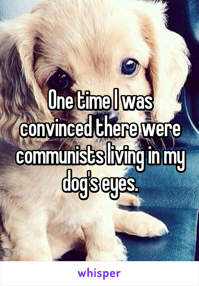 One time I was convinced there were communists living in my dog's eyes.