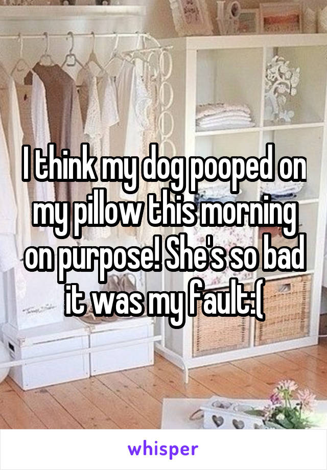 I think my dog pooped on my pillow this morning on purpose! She's so bad it was my fault:(