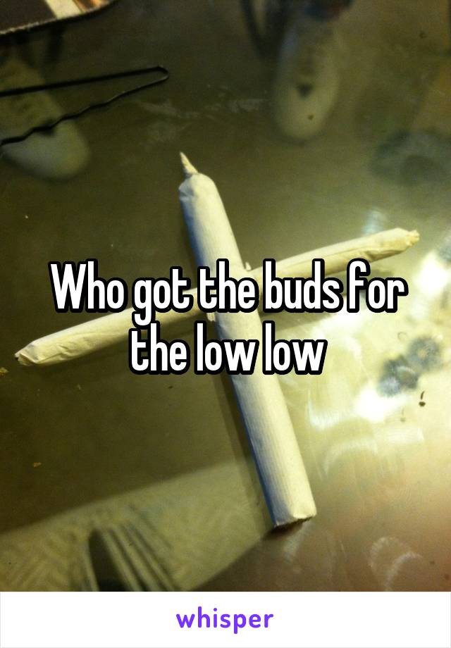 Who got the buds for the low low