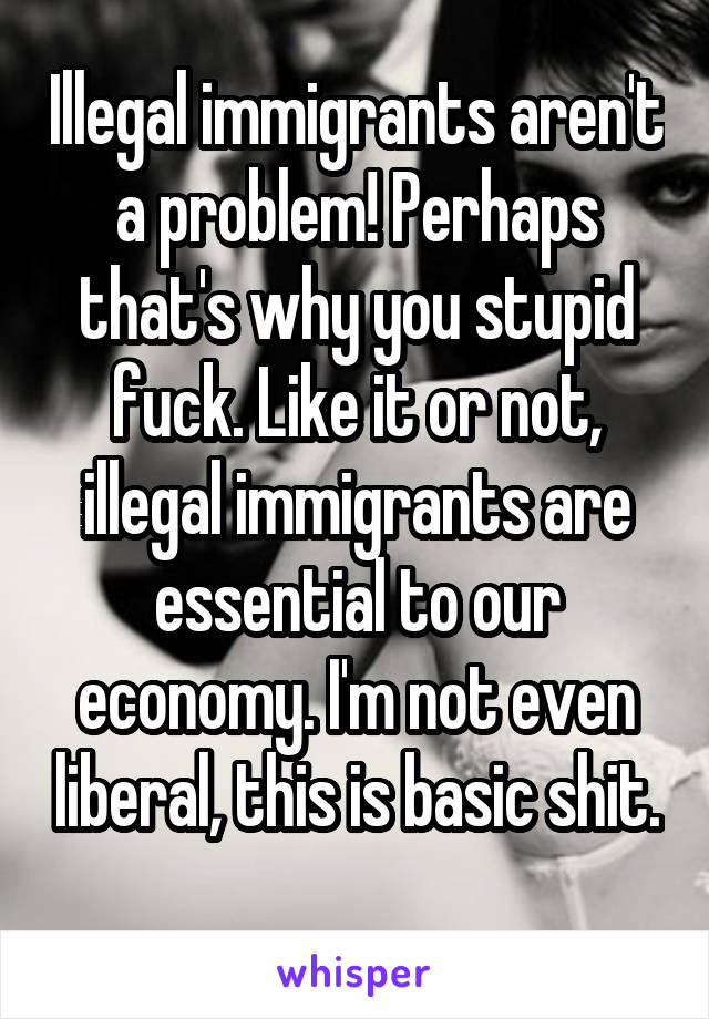 Illegal immigrants aren't a problem! Perhaps that's why you stupid fuck. Like it or not, illegal immigrants are essential to our economy. I'm not even liberal, this is basic shit. 