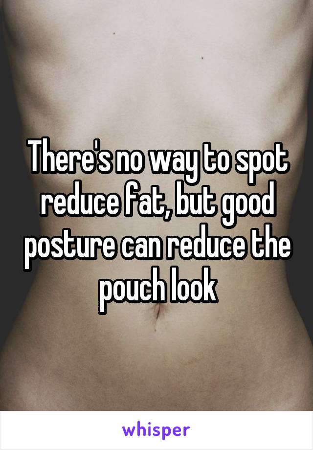 There's no way to spot reduce fat, but good posture can reduce the pouch look