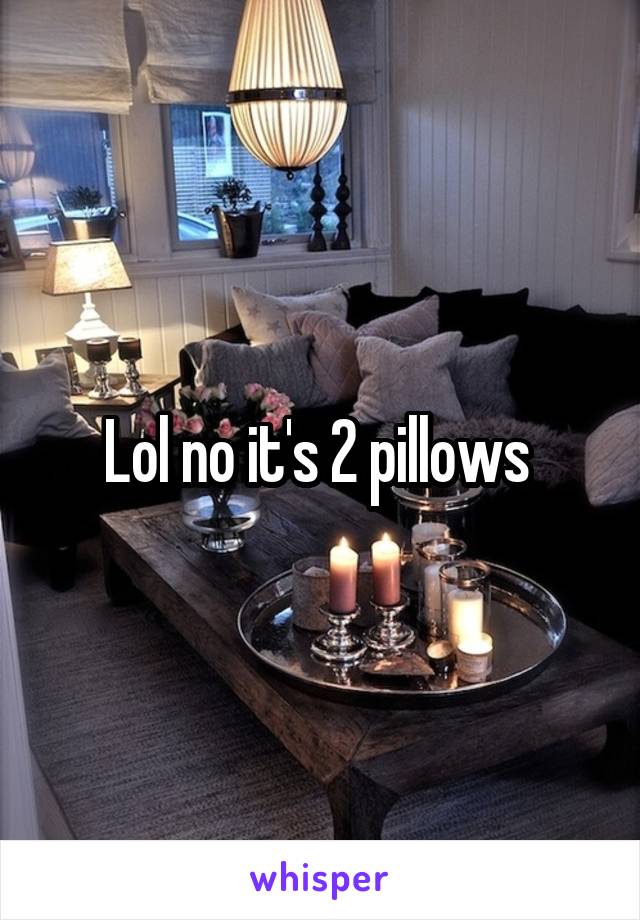 Lol no it's 2 pillows 