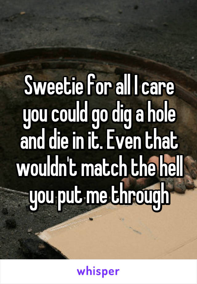 Sweetie for all I care you could go dig a hole and die in it. Even that wouldn't match the hell you put me through