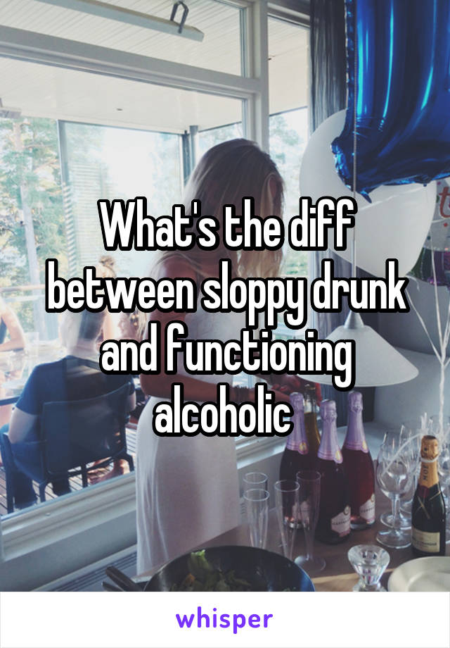 What's the diff between sloppy drunk and functioning alcoholic 
