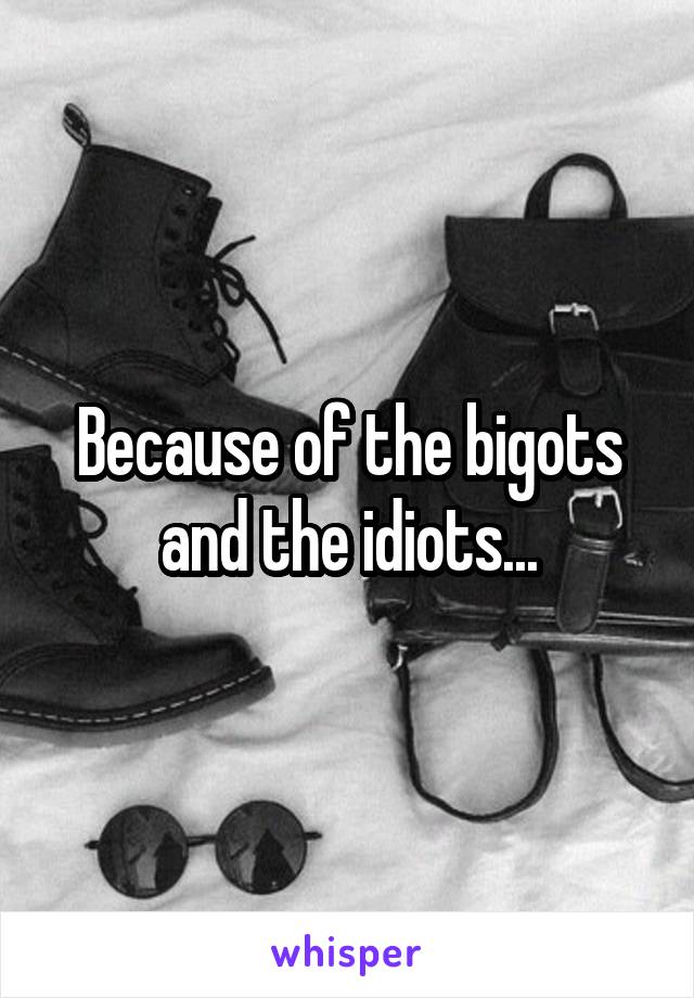 Because of the bigots and the idiots...