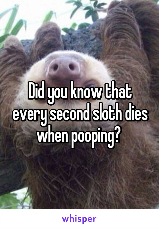 Did you know that every second sloth dies when pooping? 