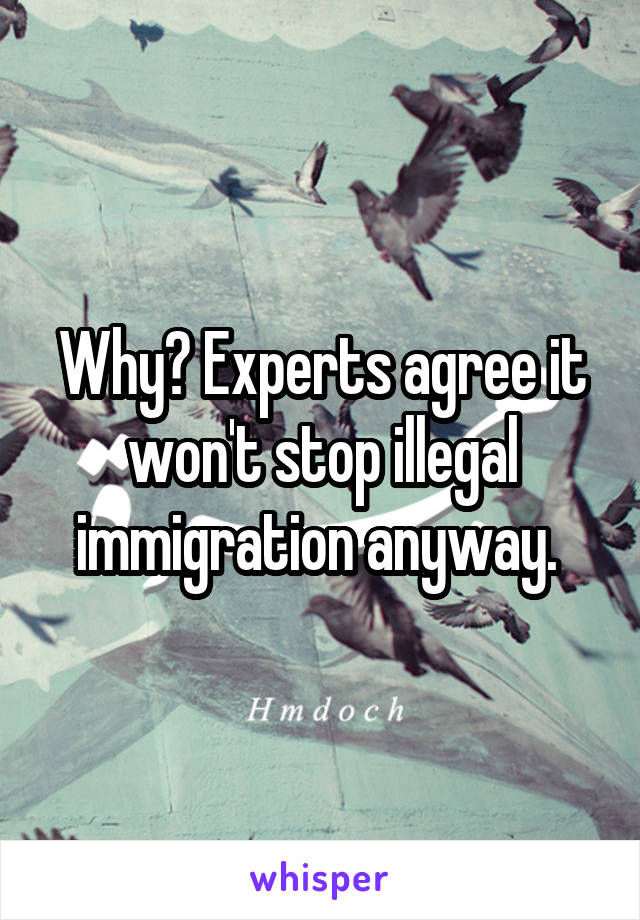 Why? Experts agree it won't stop illegal immigration anyway. 