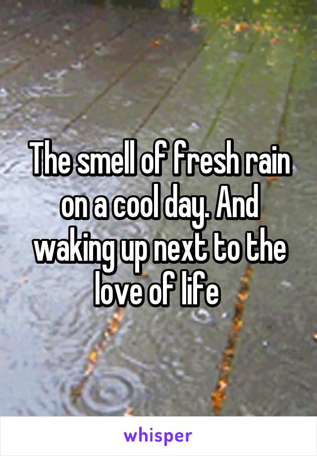 The smell of fresh rain on a cool day. And waking up next to the love of life 