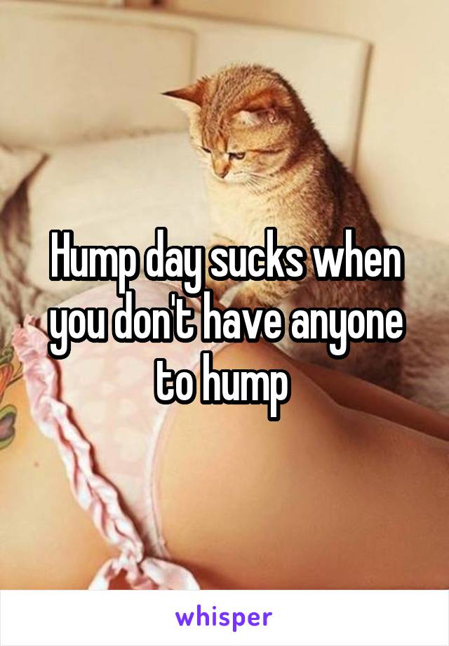 Hump day sucks when you don't have anyone to hump 