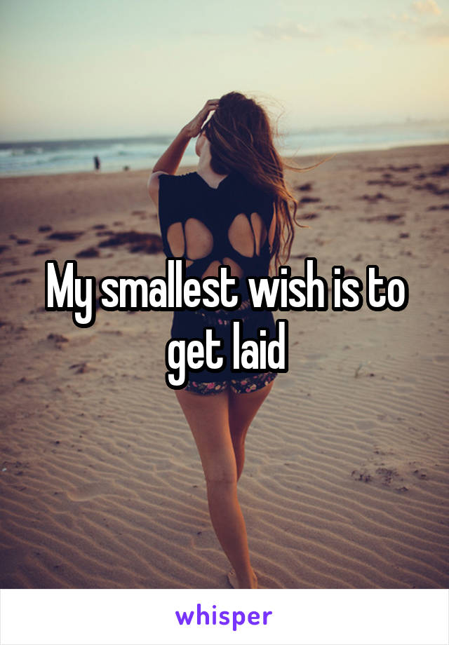 My smallest wish is to get laid