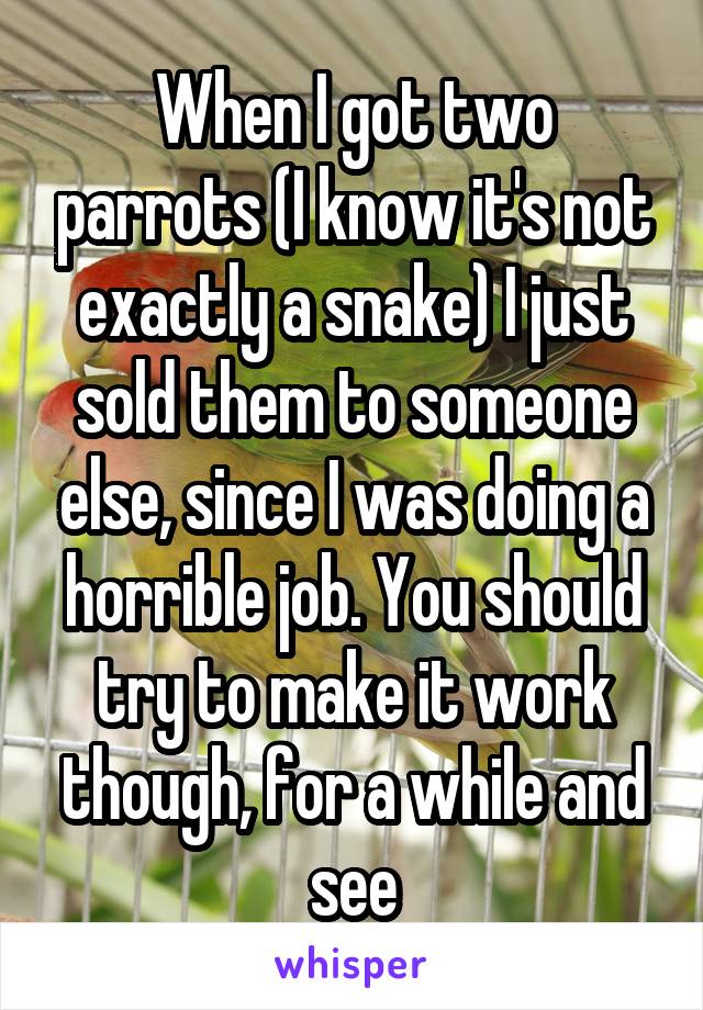 When I got two parrots (I know it's not exactly a snake) I just sold them to someone else, since I was doing a horrible job. You should try to make it work though, for a while and see