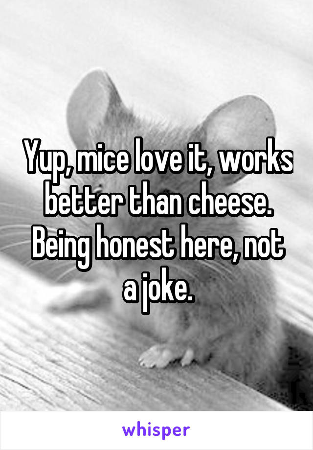 Yup, mice love it, works better than cheese.
Being honest here, not a joke.