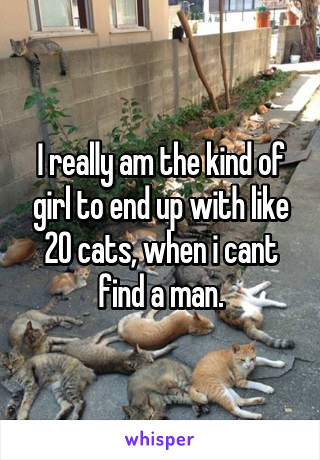 I really am the kind of girl to end up with like 20 cats, when i cant find a man.