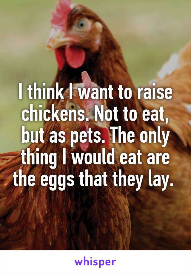 I think I want to raise chickens. Not to eat, but as pets. The only thing I would eat are the eggs that they lay. 