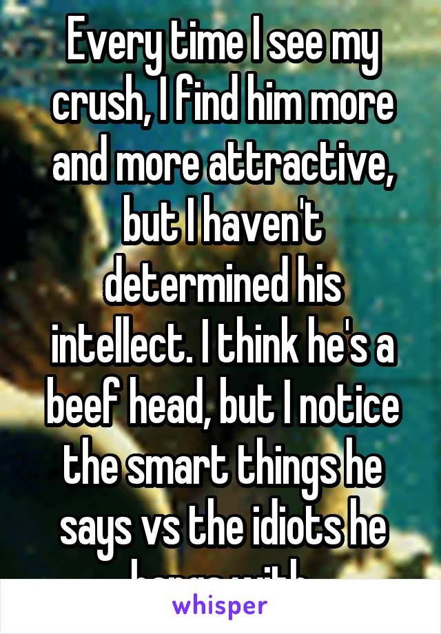 Every time I see my crush, I find him more and more attractive, but I haven't determined his intellect. I think he's a beef head, but I notice the smart things he says vs the idiots he hangs with.