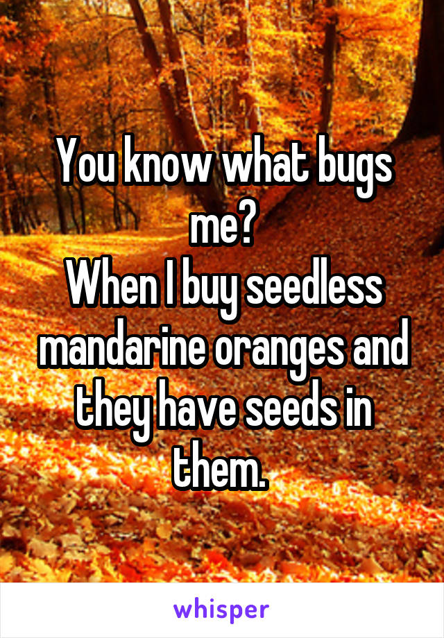 You know what bugs me?
When I buy seedless mandarine oranges and they have seeds in them. 