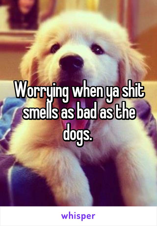 Worrying when ya shit smells as bad as the dogs. 