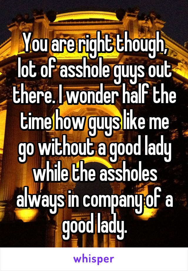 You are right though, lot of asshole guys out there. I wonder half the time how guys like me go without a good lady while the assholes always in company of a good lady.