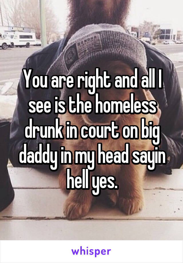 You are right and all I see is the homeless drunk in court on big daddy in my head sayin hell yes.