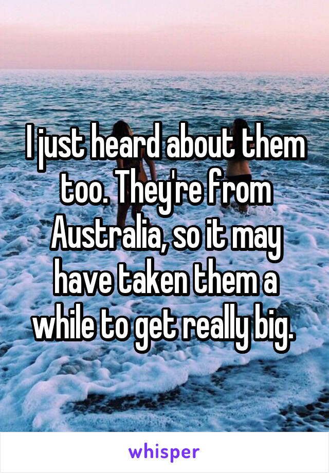 I just heard about them too. They're from Australia, so it may have taken them a while to get really big. 