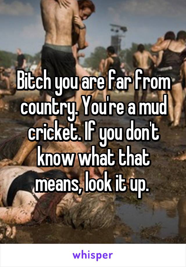 Bitch you are far from country. You're a mud cricket. If you don't know what that means, look it up. 