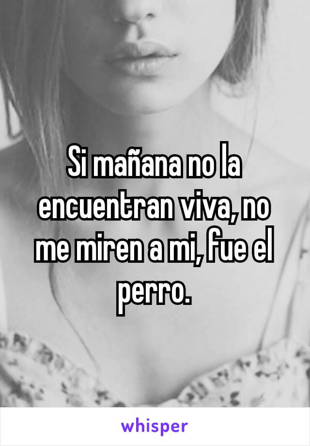 Si mañana no la encuentran viva, no me miren a mi, fue el perro.