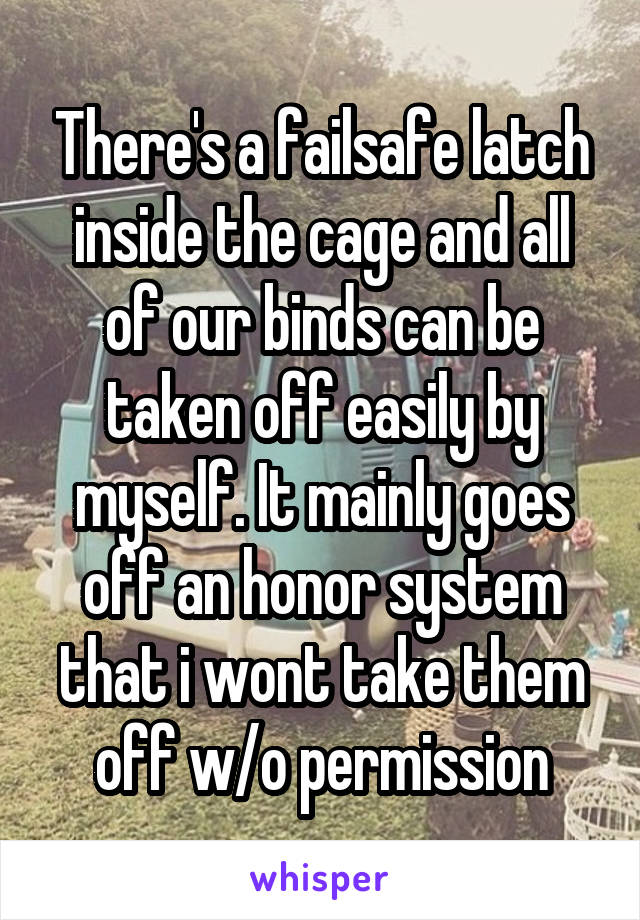 There's a failsafe latch inside the cage and all of our binds can be taken off easily by myself. It mainly goes off an honor system that i wont take them off w/o permission