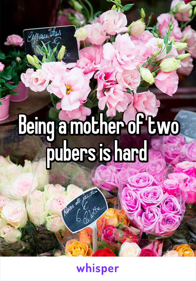 Being a mother of two pubers is hard 