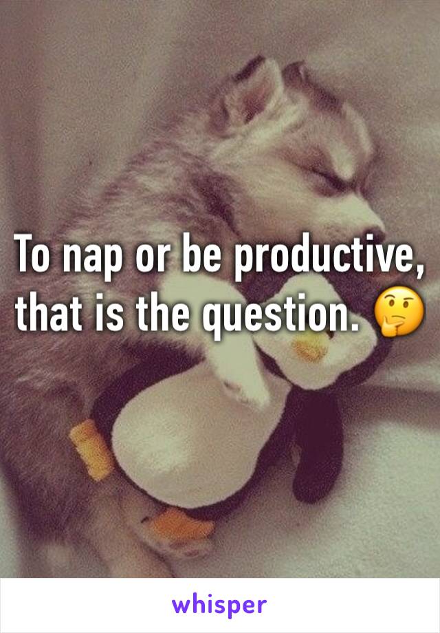 To nap or be productive, that is the question. 🤔