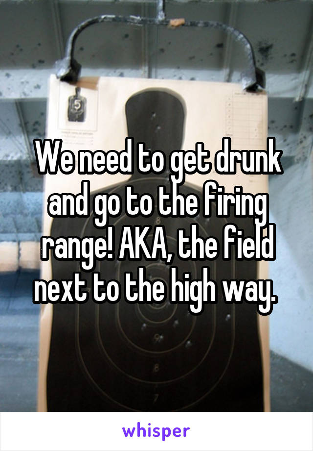 We need to get drunk and go to the firing range! AKA, the field next to the high way. 