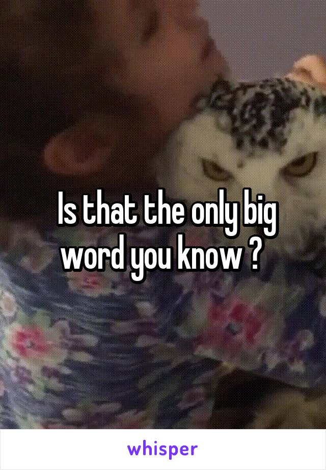  Is that the only big word you know ? 