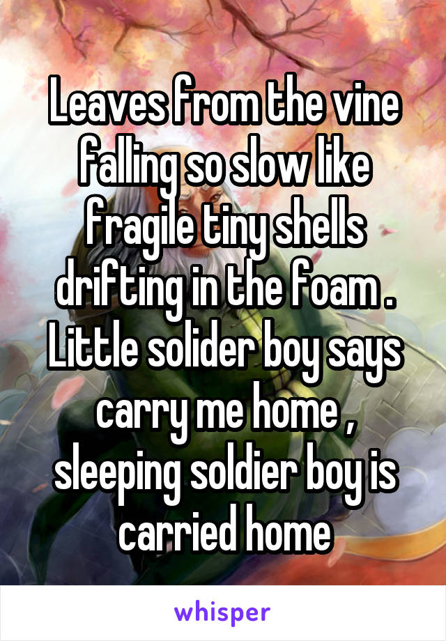 Leaves from the vine falling so slow like fragile tiny shells drifting in the foam . Little solider boy says carry me home , sleeping soldier boy is carried home