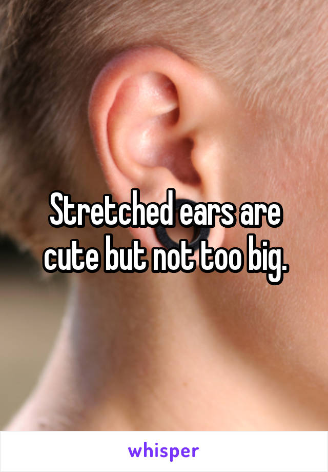 Stretched ears are cute but not too big.