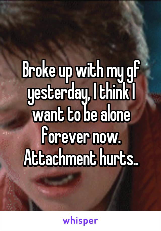 Broke up with my gf yesterday, I think I want to be alone forever now. Attachment hurts..